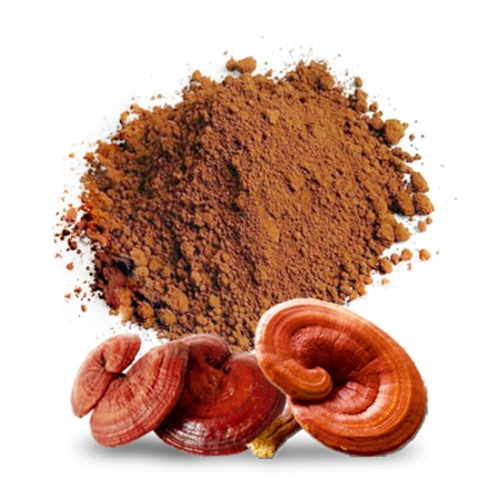 bột nấm linh chi nguyên chất