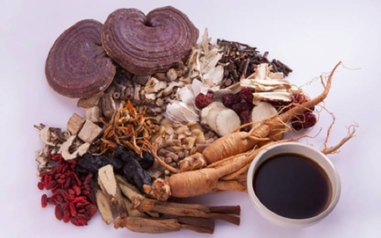 Một số bài thuốc chữa bệnh từ nấm linh chi